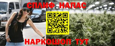 МДПВ Будённовск