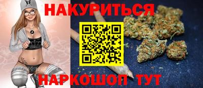 МДПВ Будённовск