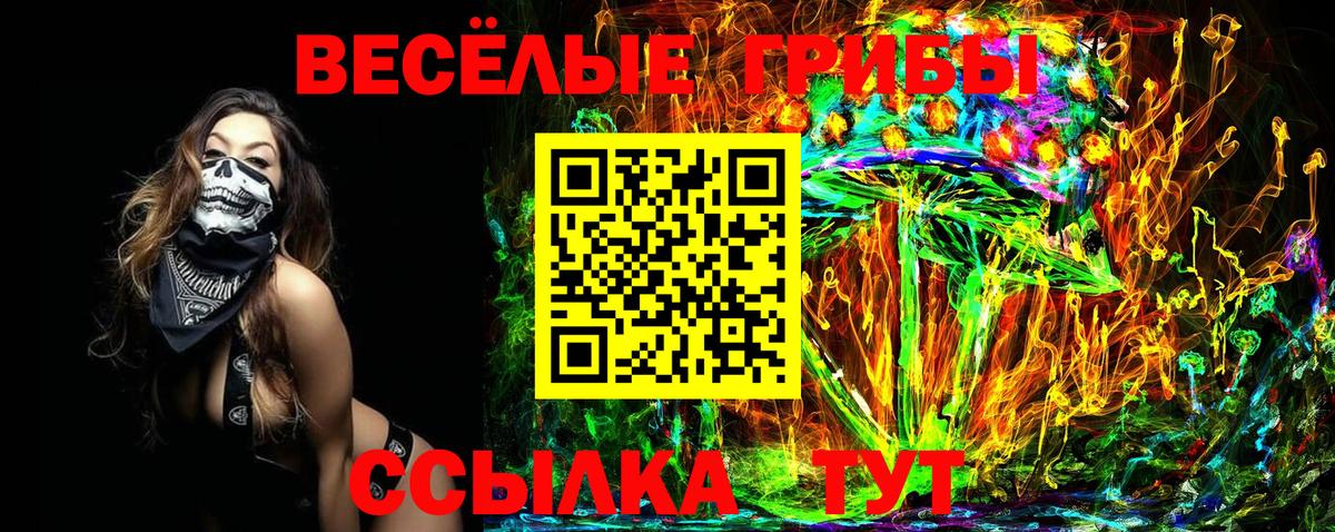 купить закладку  Псилоцибиновые грибы GOLDEN TEACHER  Вход с VPN  Бугуруслан 