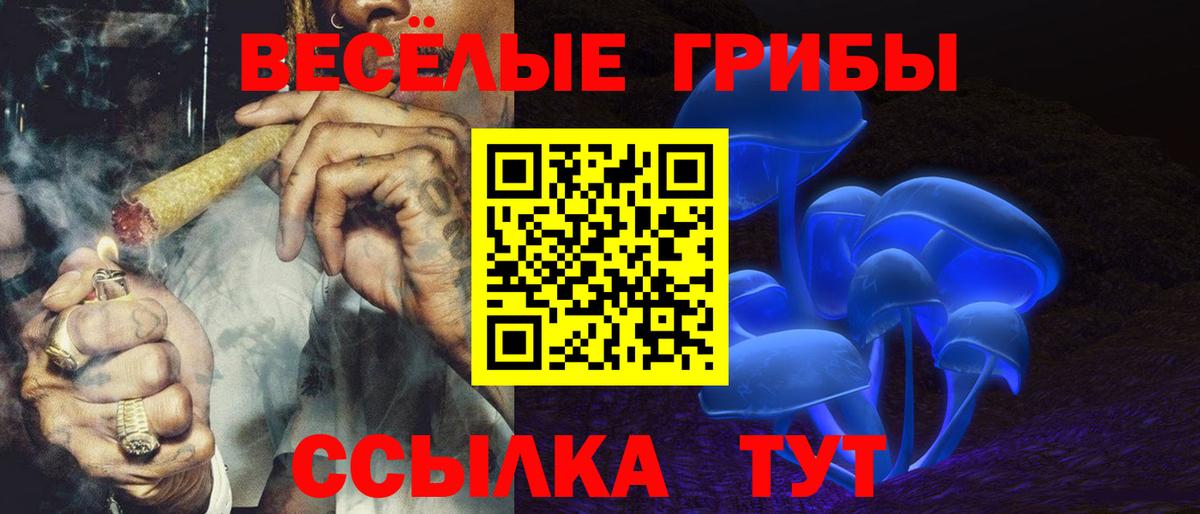 Галлюциногенные грибы Cubensis Бугуруслан